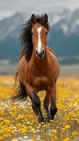 Horse galloping through a field of wildflowers with mountains in the background on a cloudy day photo