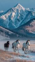 Majestic horses running through a frosty meadow with snow-capped mountains in the background during early morning light photo