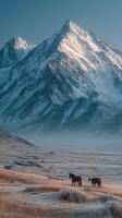 Horses grazing in a serene valley with majestic mountains during early morning light in a tranquil landscape photo