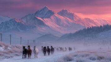Herd of horses walking through snowy landscape at dawn near majestic mountains photo