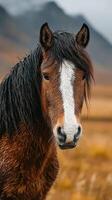 Majestic brown horse with flowing mane stands in golden grasslands at dusk near mountain ranges photo