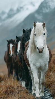 caballos caminando en un montaña camino durante un nublado día en un sereno paisaje foto