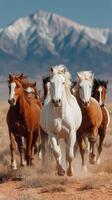 Majestic wild horses galloping across a dusty landscape with snow-capped mountains in the background photo