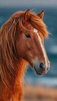 Majestic close-up of a brown horse with flowing mane against a vibrant coastal background during sunset photo