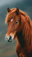 Majestic horse stands proudly with vibrant mane against a blurred natural backdrop in a serene outdoor setting photo