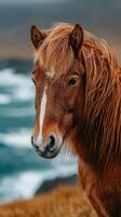 Majestic brown horse stands near the ocean with gentle waves in a scenic coastal landscape during overcast weather photo