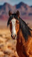 Majestic horse stands in the desert landscape under a clear blue sky at golden hour, showcasing its beauty and tranquility photo