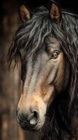 Majestic horse with a flowing mane captured in a rustic stable setting during golden hour photo