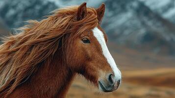 Majestic horse with flowing mane stands confidently in a picturesque mountainous landscape during golden hour photo
