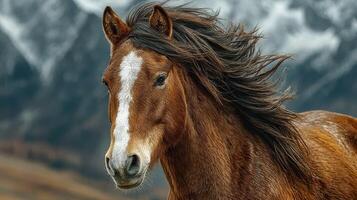 Wild brown horse with flowing mane in a mountainous landscape during a sunny day surrounded by snow-capped peaks photo