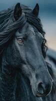 Majestic black horse with flowing mane showcasing beauty and strength in a serene landscape during twilight photo