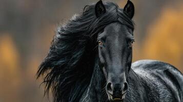 Majestic black horse with flowing mane stands proudly against autumn backdrop at sunset in a serene outdoor setting photo