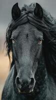 Majestic black horse with flowing mane gazes intensely on a cloudy day in a serene landscape photo