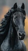 Majestic black horse with flowing mane captured in a serene autumn landscape photo