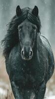 Majestic black horse galloping through snowy landscape under soft grey sky during winter photo