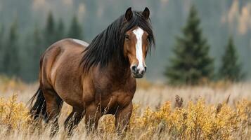Majestic brown horse standing in a vibrant grassland during autumn with trees in the background photo