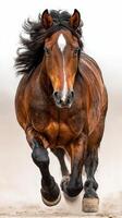 Majestic brown horse galloping on sandy terrain during bright daylight under a clear sky photo