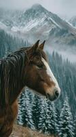 Majestic brown horse stands in serene mountain landscape with snow-capped peaks and evergreen forests during a foggy morning photo