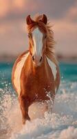 Horse running through the ocean waves at sunset, showcasing strength and beauty in motion photo