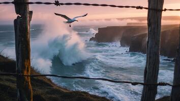 Seagull Flying Over Crashing Waves on Rocky Coastline at Sunset photo