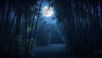 Full Moon Over Bamboo Forest Path in Nighttime Tranquil Scenery photo