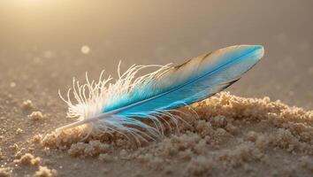 Blue Feather Resting on Sand Dune Shimmers in Soft Sunlight photo