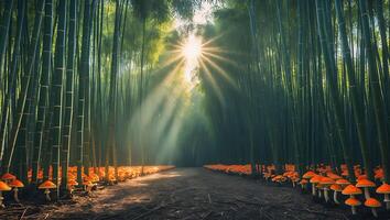 Walking Path Through Bamboo Forest with Mushrooms and Sun Rays photo