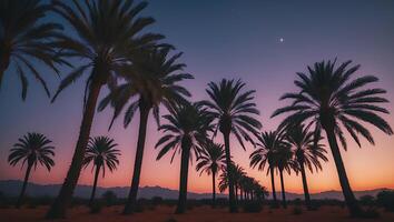 Palm Trees Silhouette Against a Colorful Sunset Sky in Desert photo
