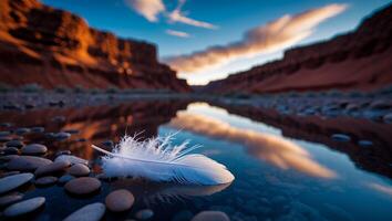 Floating Feather on Clear Water Reflecting Cliffs and Sky at Sunset photo
