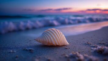 Seashell Lying on Sandy Beach at Sunset with Ocean Waves photo