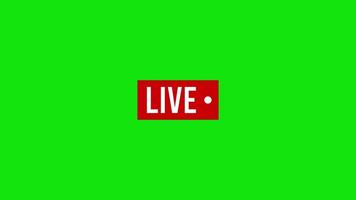 Green Screen Live Animation for Live Stream Broadcast video