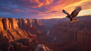 Eagle Soaring Above Canyon at Sunset with Dramatic Sky photo