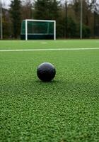A black ball on a field photo