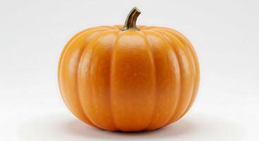 A single orange pumpkin on a white background photo