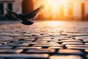 A pigeon flying over a cobblestone street at sunset photo