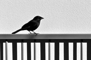 A black and white photo of a bird sitting on a railing