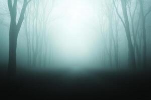 A dark and foggy forest with trees and a path photo