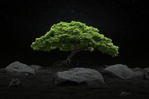 Tree on the moon with rocks and stars photo