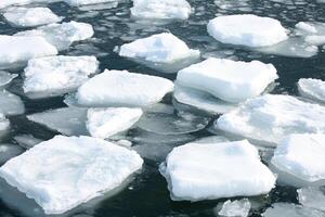 Ice cubes floating in the water photo