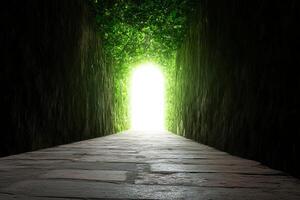 An open tunnel with a light at the end photo