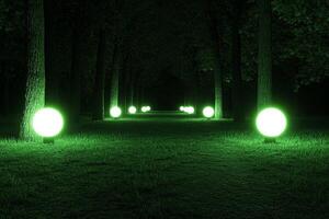 A green lighted path in the woods with trees and grass photo