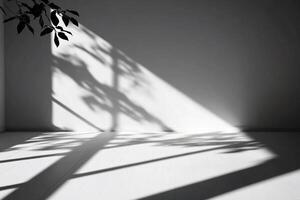 A shadow of a tree on a wall in a room photo