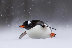 A penguin is walking through the snow photo