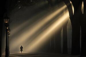 A person walking down a path in the light of the sun photo