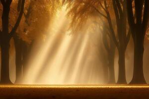 A sunbeam shines through the trees in an autumn forest photo