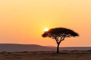A lone acacia tree in the middle of a plain at sunset photo