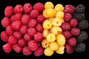 Raspberries, blackberries, and raspberries are arranged in a row photo