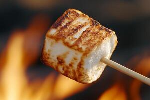 A marshmallow on a stick with a fire in the background photo