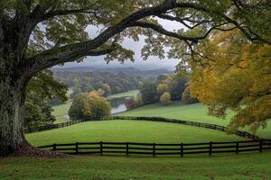 A tree with a fence in front of it photo