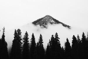 Black and white photo of a mountain covered in fog